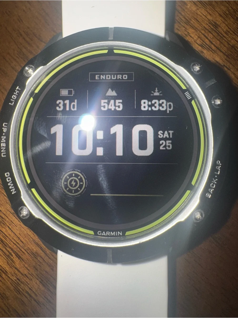Garmin Enduro and Charger